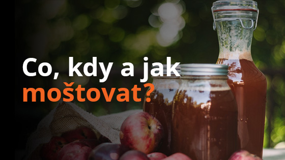 Co, kdy a jak moštovat?