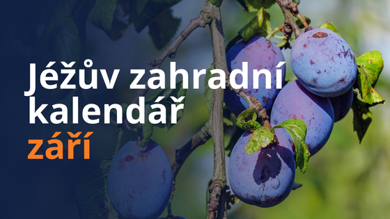 Jéžův zahradní kalendář - září