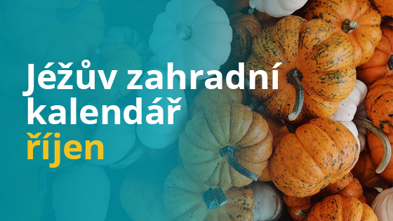 Jéžův zahradní kalendář - říjen