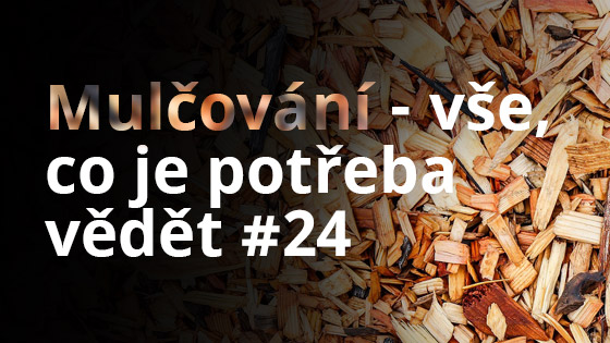 Mulčování – vše, co je potřeba vědět