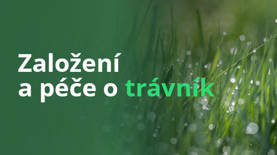 Založení a péče o trávník
