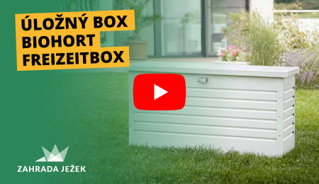 banner-video-freizeit-box