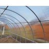 Zahradní skleník Gardentec CLASSIC T 4 x 3 m, 4 mm