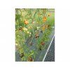 Zahradní skleník Gardentec STANDARD 8 x 2,5 m