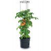 kvetinac prosperplast tomato grower na pestovani rajcat 29 5 cm antracit