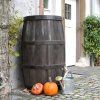 BURGUND 01