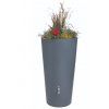Rainbowl flower 2