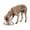 Vyhřívaná miska pro psy a kočky THERMODOG 3113202 1,8l