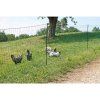 Vodivá síť pro drůbež KERBL 292413 PREMIUM, 122 cm x 50 m / 2 hroty