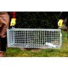Profesionální past na lišky, kuny a kočky TRAP ST102x34x34